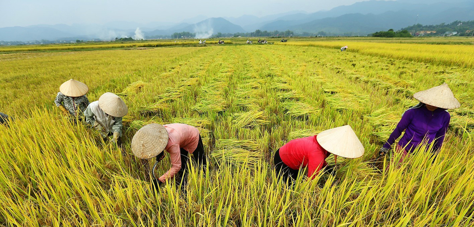 industria-alimentare-agricoltura-sostenibile