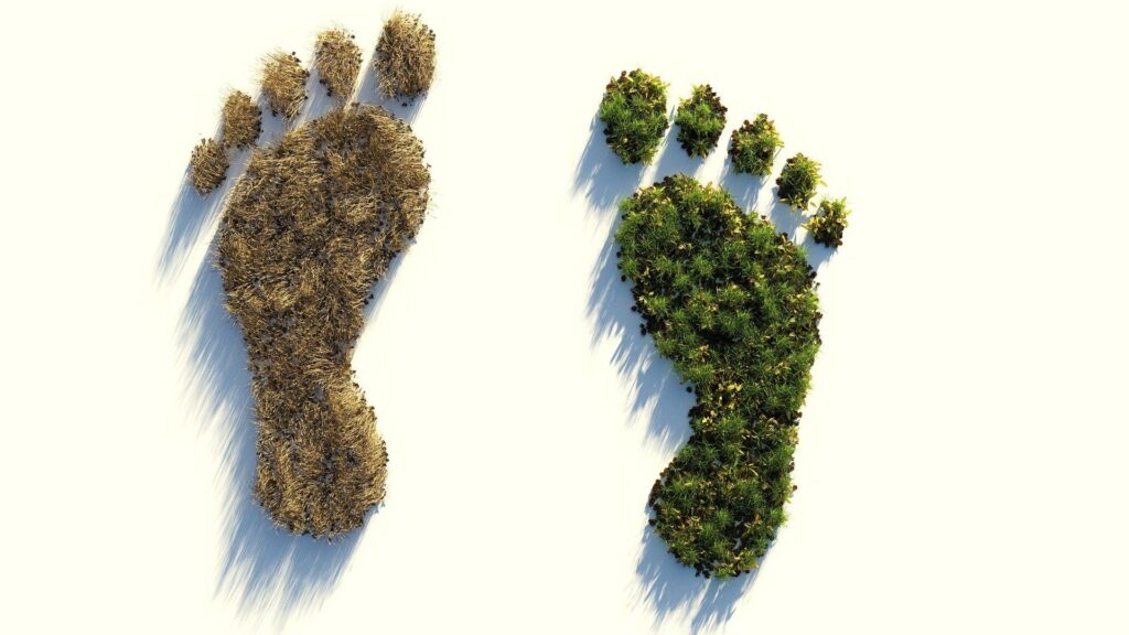 carbon-footprint